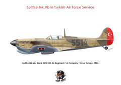 Türk Hava Kuvvetleri'nde kullanılan TIGERHEAD SPITFIRE Mk. Vb model uçağı, 1/48 ölçek, detaylı model maket.