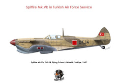 Türk Hava Kuvvetleri hizmetindeki Tigerhead Spitfire Mk. Vb model uçağın detaylı maket resmi.