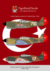 Türk bayrağı altında Allied Fighters P-40E ve P-40B model uçak maketleri, resin malzeme, 1/72 ölçek, PILOT SHOP BAKIRKÖY