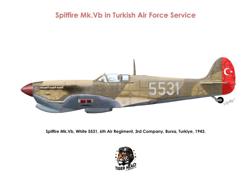 Türk Hava Kuvvetleri hizmetinde Tigerhead Spitfire Mk. Vb model ve maket, 1/48 ölçek, detaylı hava kuvvetleri modeli.