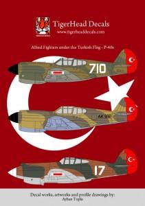 Türk bayrağıyla süslenmiş Allied Fighters P-40E ve P-40B model maket, Resin malzeme, detaylı savaş uçağı modeli.