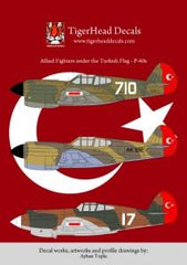 Türk bayrağıyla süslenmiş Allied Fighters P-40E ve P-40B model maket, Resin malzeme, detaylı savaş uçağı modeli.