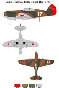 Türk bayrağı altında Allied Fighters P-40E ve P-40B model ve maket resmi, resin malzeme, pilot shop Bakırköy.