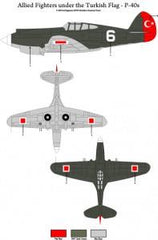 Türk bayrağıyla Allied Fighters P-40E ve P-40B model maket, resin malzeme, detaylı savaş uçağı figürü.