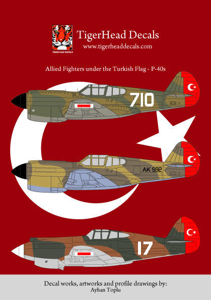 Türk bayrağı altında Allied Fighters P-40E ve P-40B model uçak maketleri, resin malzeme, 1/72 ölçek, PILOT SHOP BAKIRKÖY