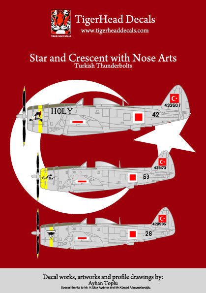 Türk Hava Kuvvetleri P-47D Thunderbolt model uçağı, resin malzeme, yıldızlar ve hilal detaylarıyla detaylı maket.