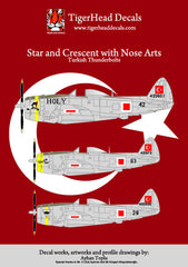 Türk Hava Kuvvetleri P-47D Thunderbolt model uçağı, resin malzeme, yıldızlar ve hilal detaylarıyla detaylı maket.