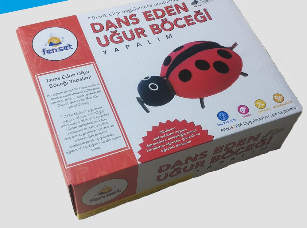 Dans Eden Uğur Böceği deney seti, çocuklar için eğitici ve renkli bilimsel deneyler içeren profesyonel eğitim seti.