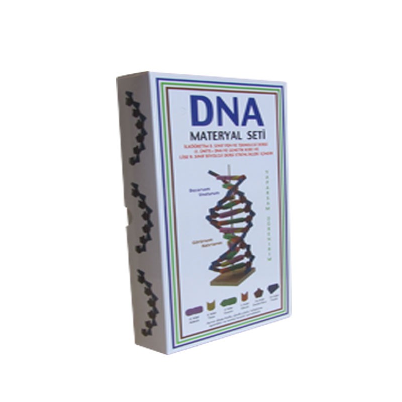 PILOT SHOP BAKIRKÖY DNA deney seti, profesyonel eğitim için bilimsel deneyler içeren eğitici deney seti.